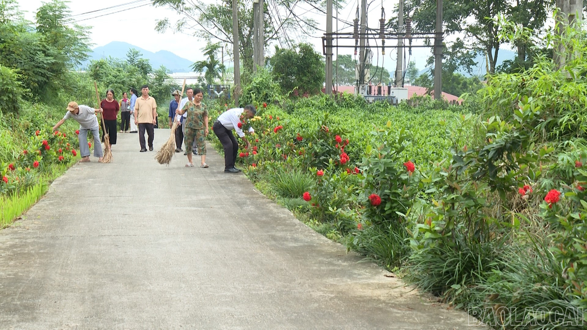 Lào Cai: Tiên Phong - điểm sáng thực hiện tiêu chí môi trường