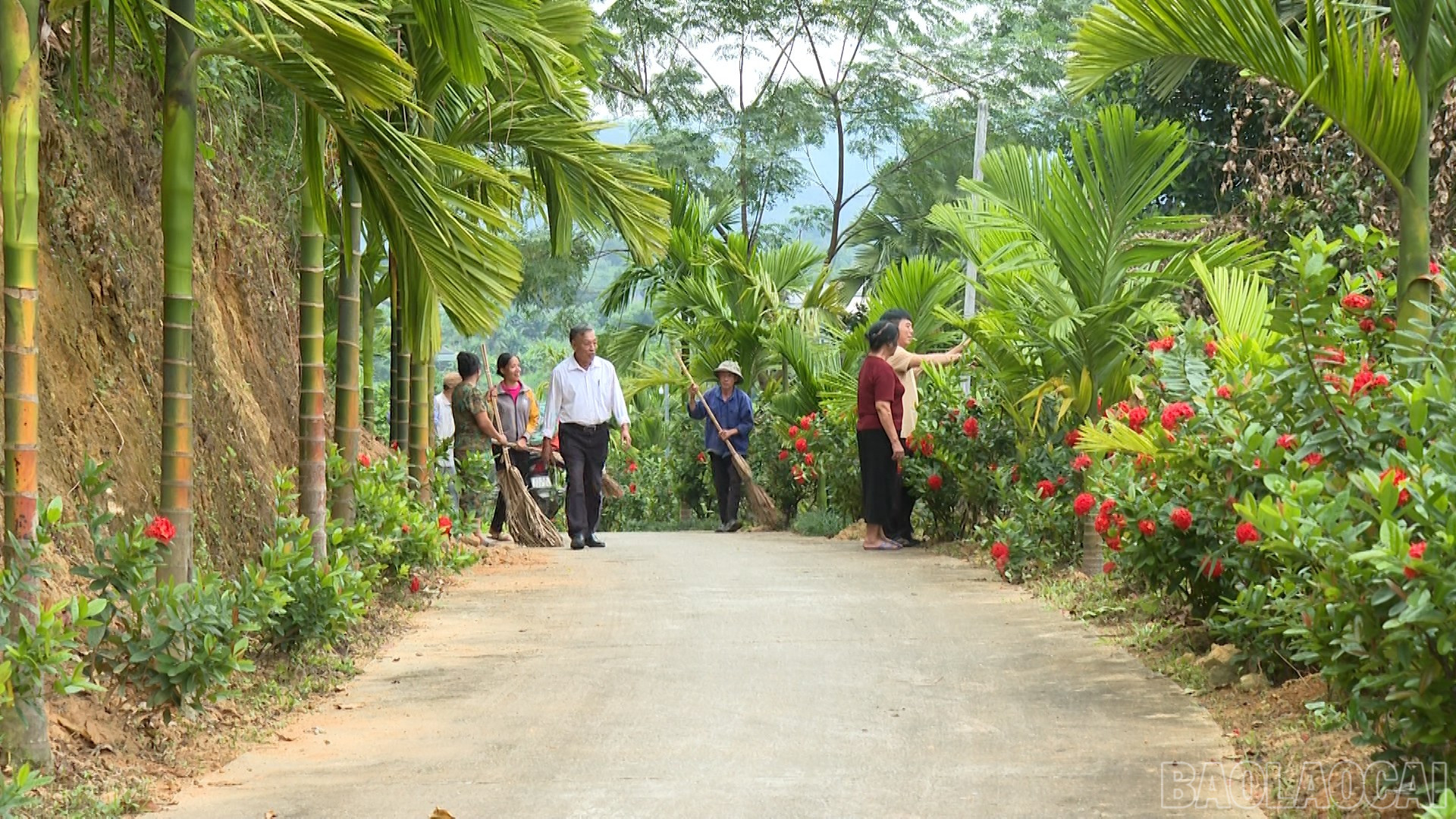 Lào Cai: Tiên Phong - điểm sáng thực hiện tiêu chí môi trường