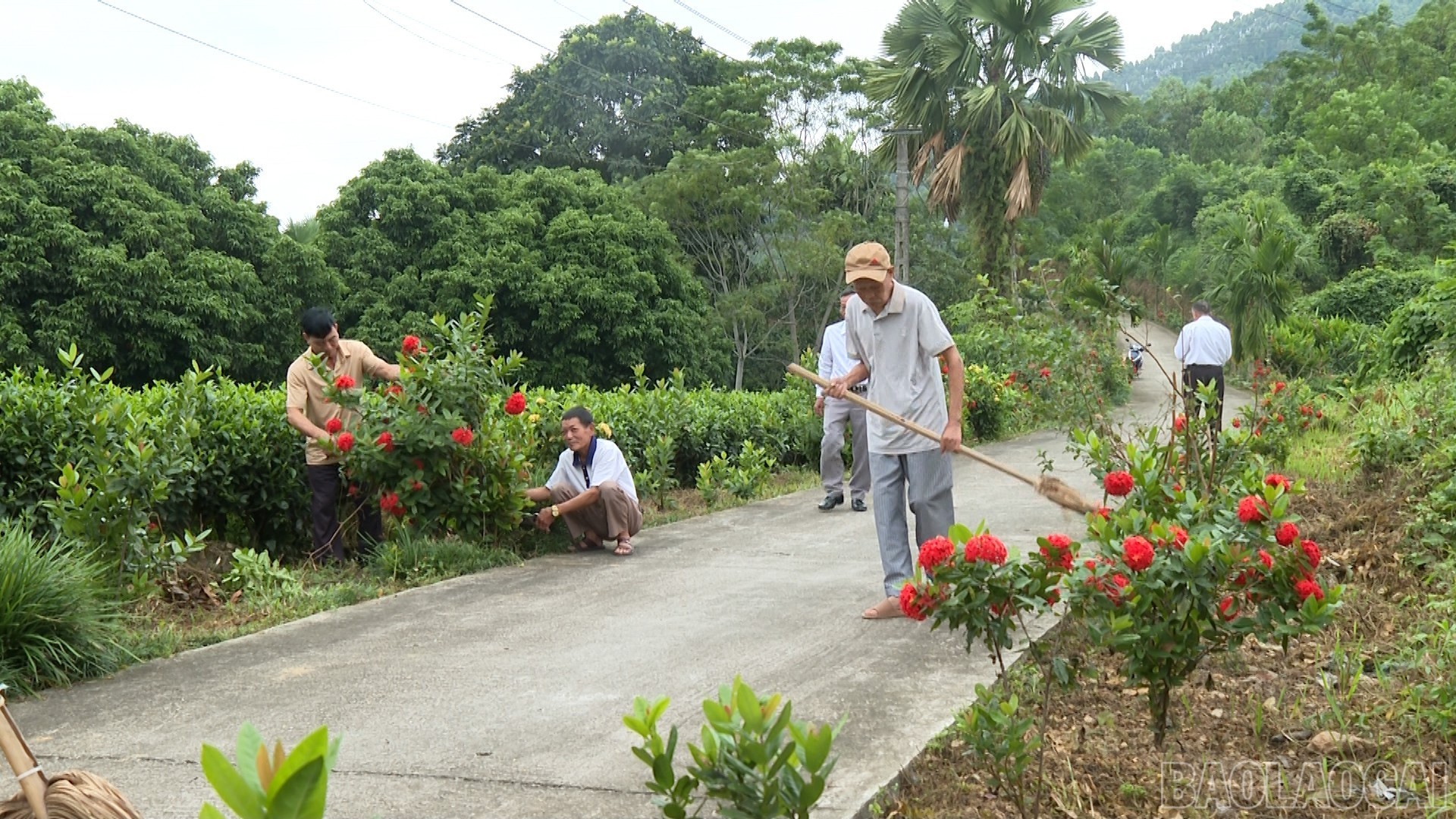 Lào Cai: Tiên Phong - điểm sáng thực hiện tiêu chí môi trường