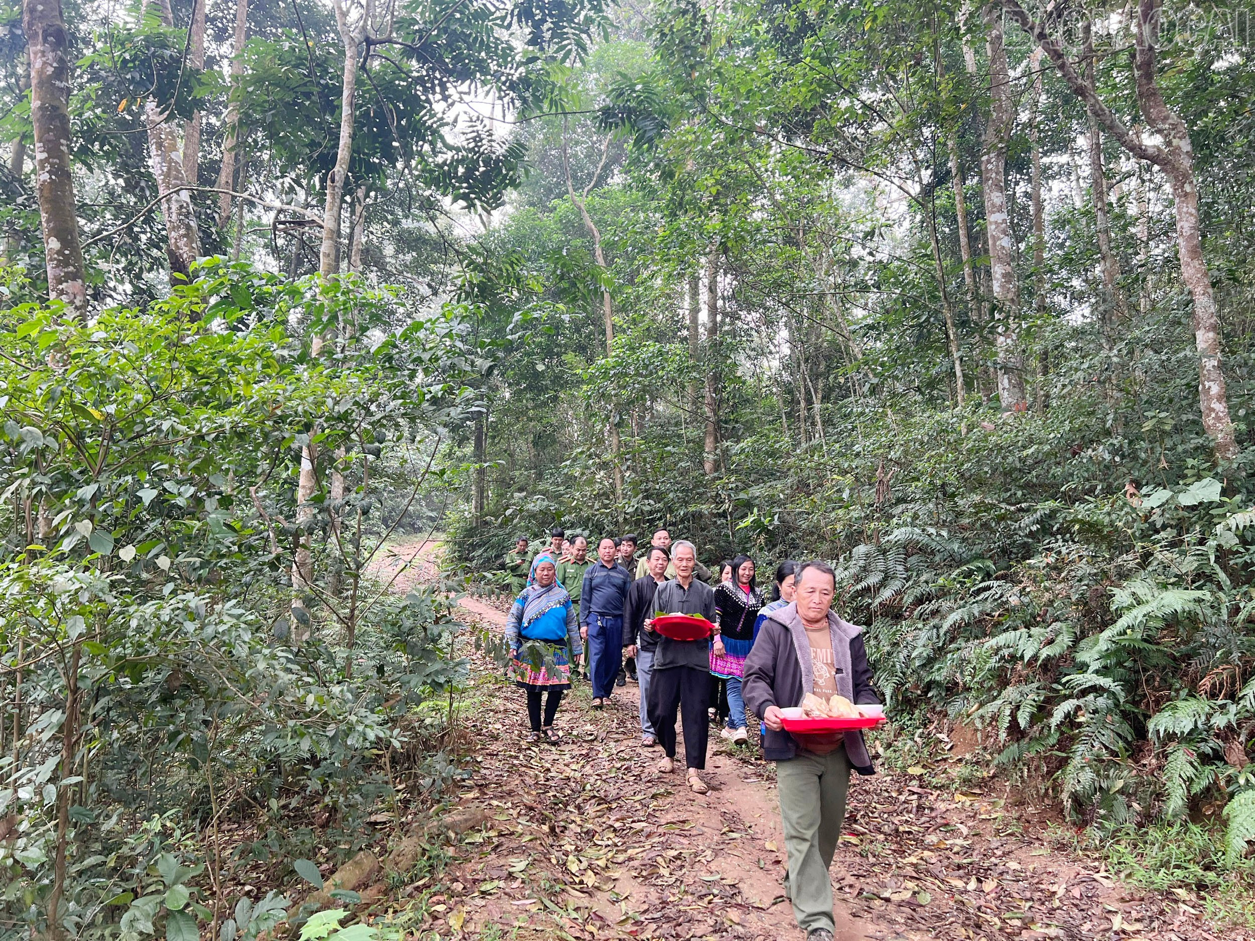 Lào Cai: Nét đẹp cúng rừng của người Mông Tổng Kim