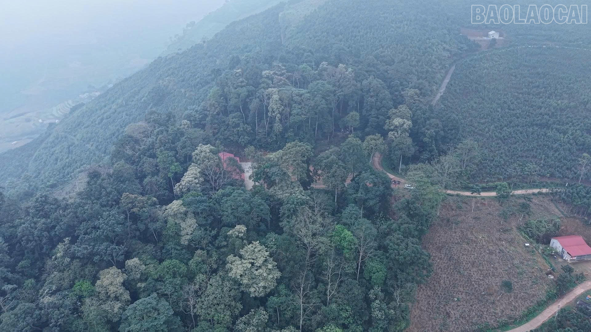 Lào Cai: Nét đẹp cúng rừng của người Mông Tổng Kim