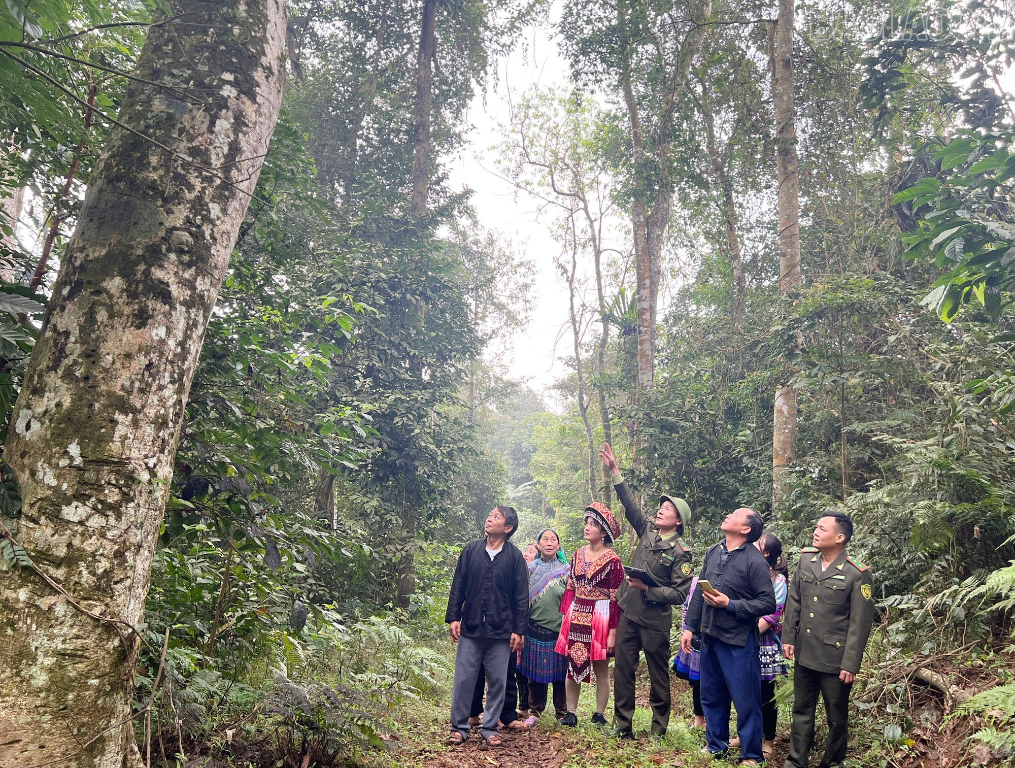 Lào Cai: Nét đẹp cúng rừng của người Mông Tổng Kim