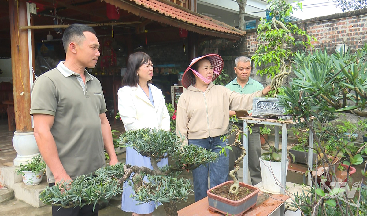 Thái Nguyên: Làng cây cảnh Gò Móc khởi sắc Thái Nguyên: Làng cây cảnh Gò Móc khởi sắc
