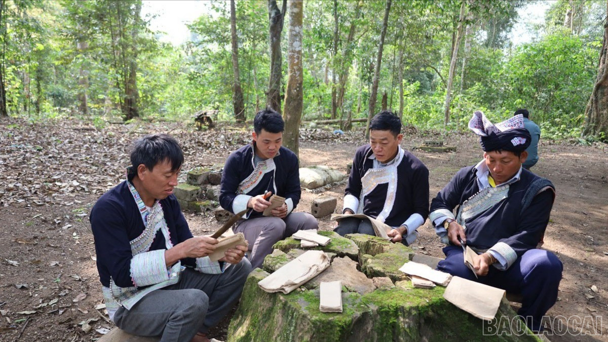 Nét đẹp cúng rừng của đồng bào vùng cao Lào Cai