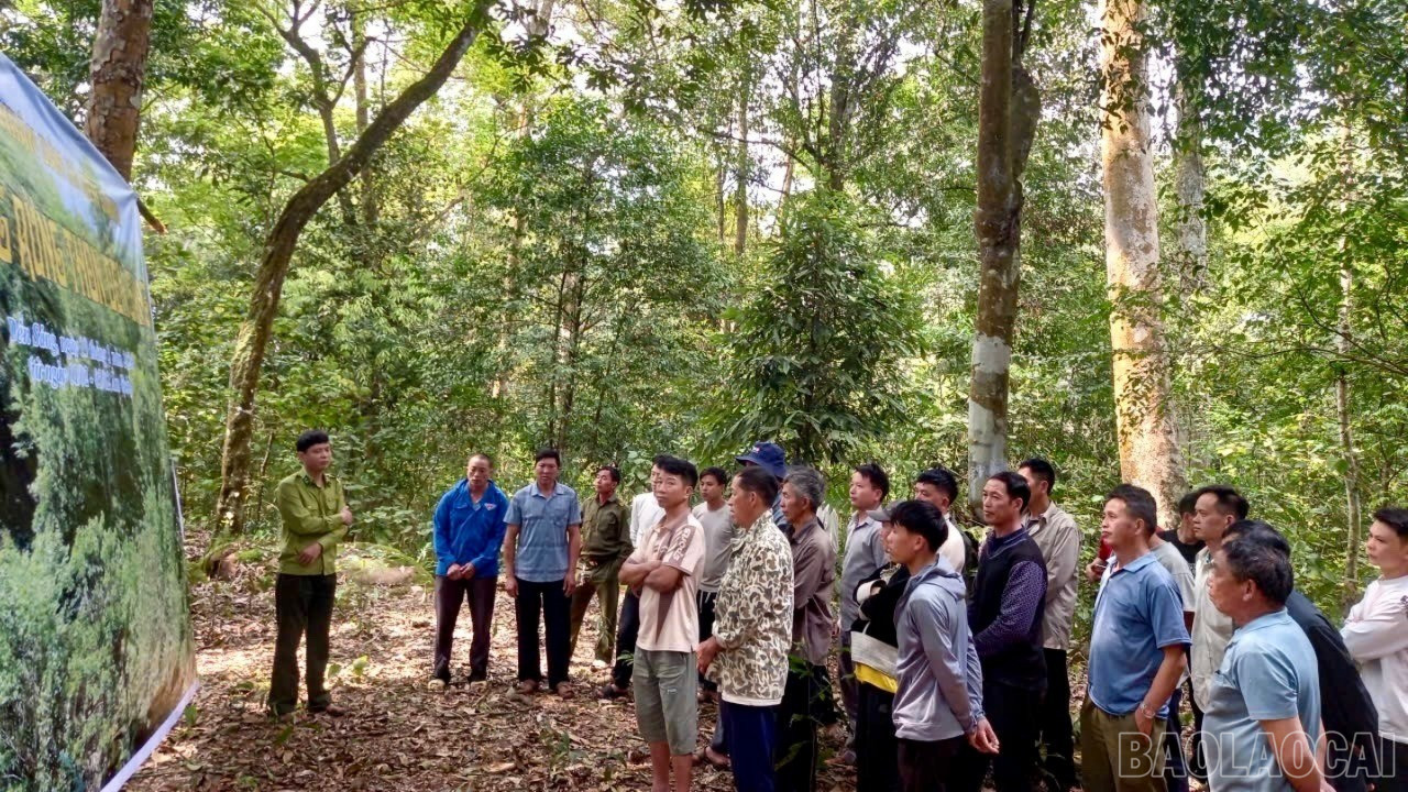 Nét đẹp cúng rừng của đồng bào vùng cao Lào Cai