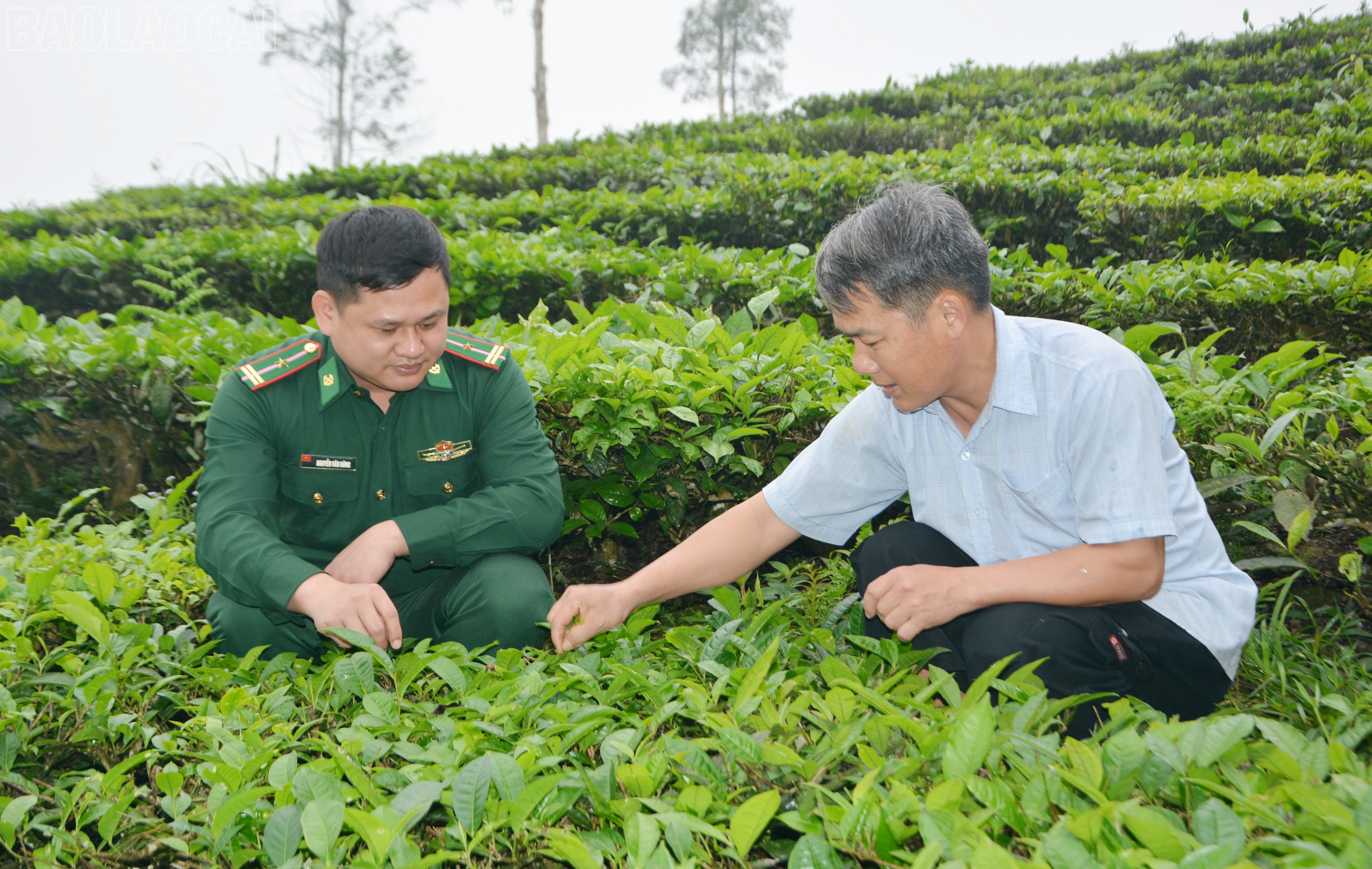 Lào Cai: Xã Bản Lầu: Chi bộ “4 tốt” góp phần xây dựng tổ chức đảng vững mạnh