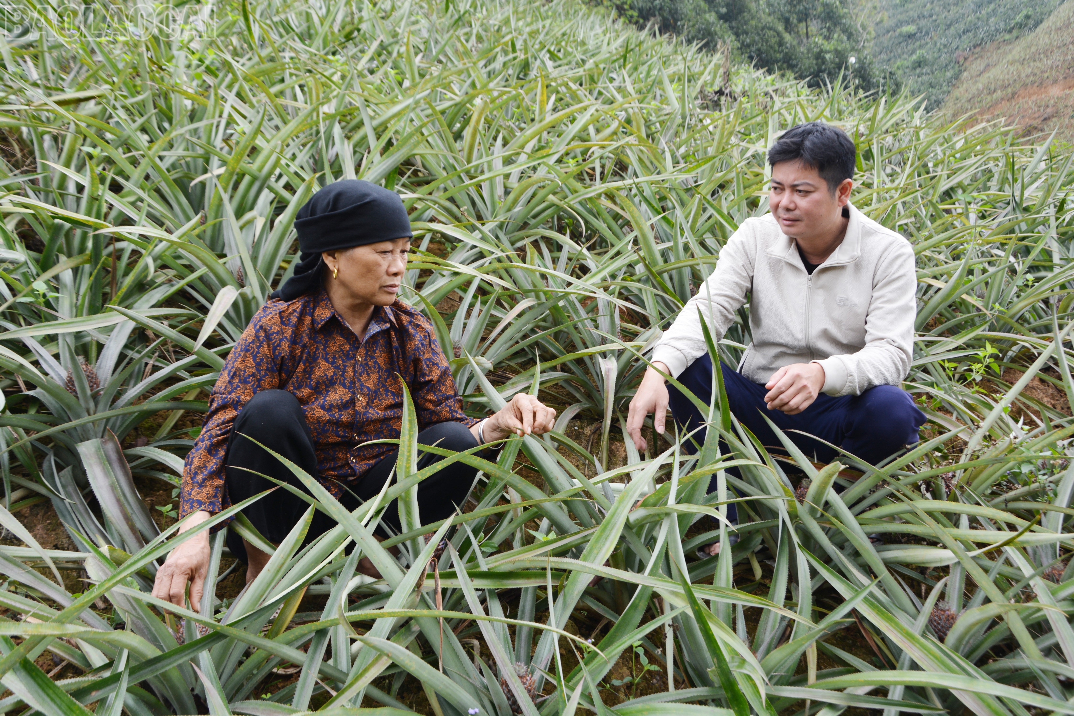 Lào Cai: Xã Bản Lầu: Chi bộ “4 tốt” góp phần xây dựng tổ chức đảng vững mạnh