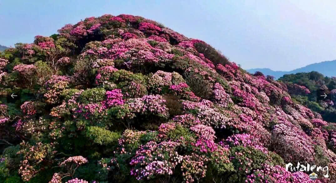 Lào Cai: Sắp diễn ra giải Lào Cai: Sắp diễn ra giải