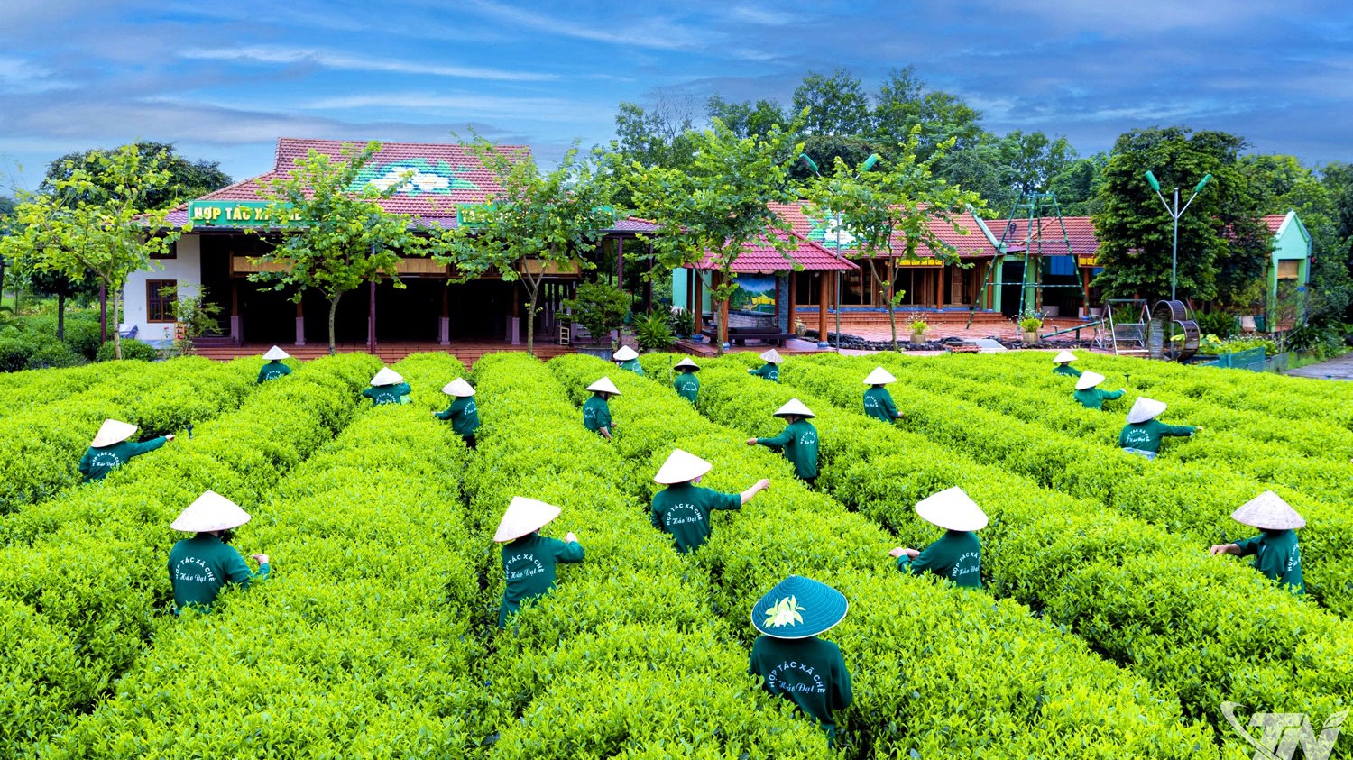 "Đòn bẩy" nâng tầm nông sản Thái Nguyên