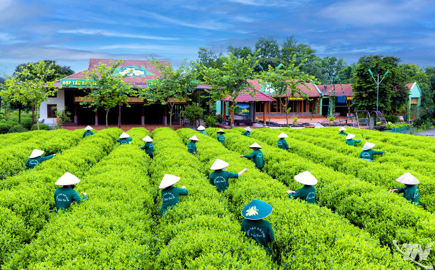 "Đòn bẩy" nâng tầm nông sản Thái Nguyên "Đòn bẩy" nâng tầm nông sản Thái Nguyên