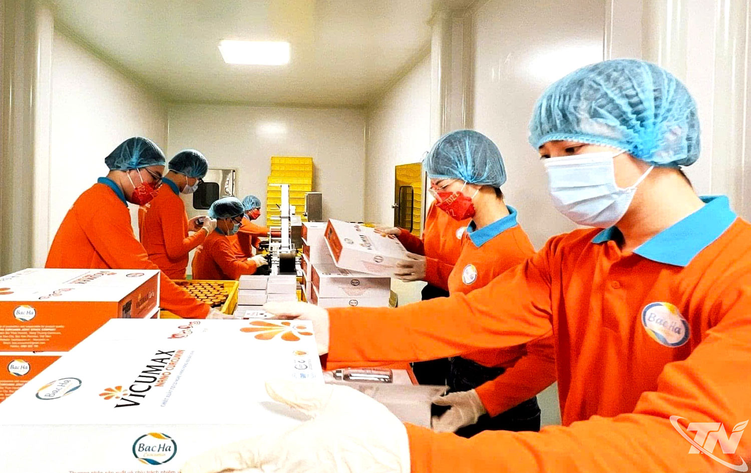 "Đòn bẩy" nâng tầm nông sản Thái Nguyên "Đòn bẩy" nâng tầm nông sản Thái Nguyên