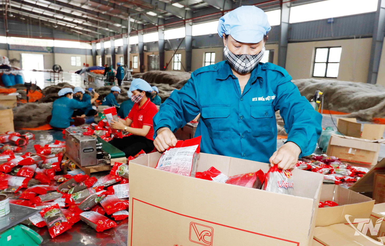 "Đòn bẩy" nâng tầm nông sản Thái Nguyên "Đòn bẩy" nâng tầm nông sản Thái Nguyên