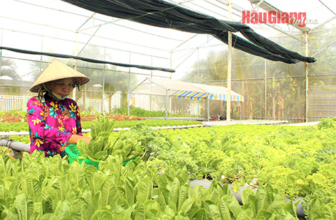 Hậu Giang: Đưa huyện Long Mỹ phát triển nhanh, bền vững Hậu Giang: Đưa huyện Long Mỹ phát triển nhanh, bền vững