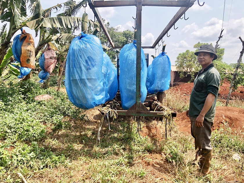 Gia Lai: Đak Đoa xây dựng mã số vùng trồng phục vụ xuất khẩu nông sản Đak Đoa xây dựng mã số vùng trồng phục vụ xuất khẩu nông sản ảnh 1