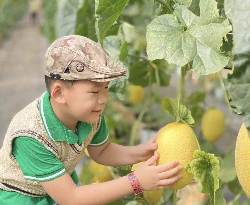 Ảnh: Sami Farm Gia Lai