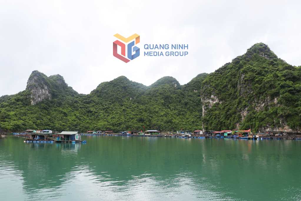 Vịnh Bái Tử Long - biểu tượng mới của du lịch Quảng Ninh Vịnh Bái Tử Long - biểu tượng mới của du lịch Quảng Ninh