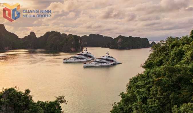 Vịnh Bái Tử Long - biểu tượng mới của du lịch Quảng Ninh Vịnh Bái Tử Long - biểu tượng mới của du lịch Quảng Ninh