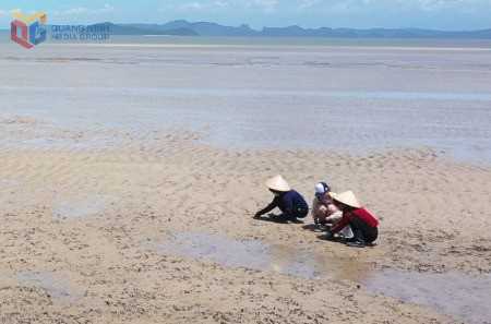 Quảng Ninh: Quan Lạn giàu mạnh nhờ bám biển Quảng Ninh: Quan Lạn giàu mạnh nhờ bám biển