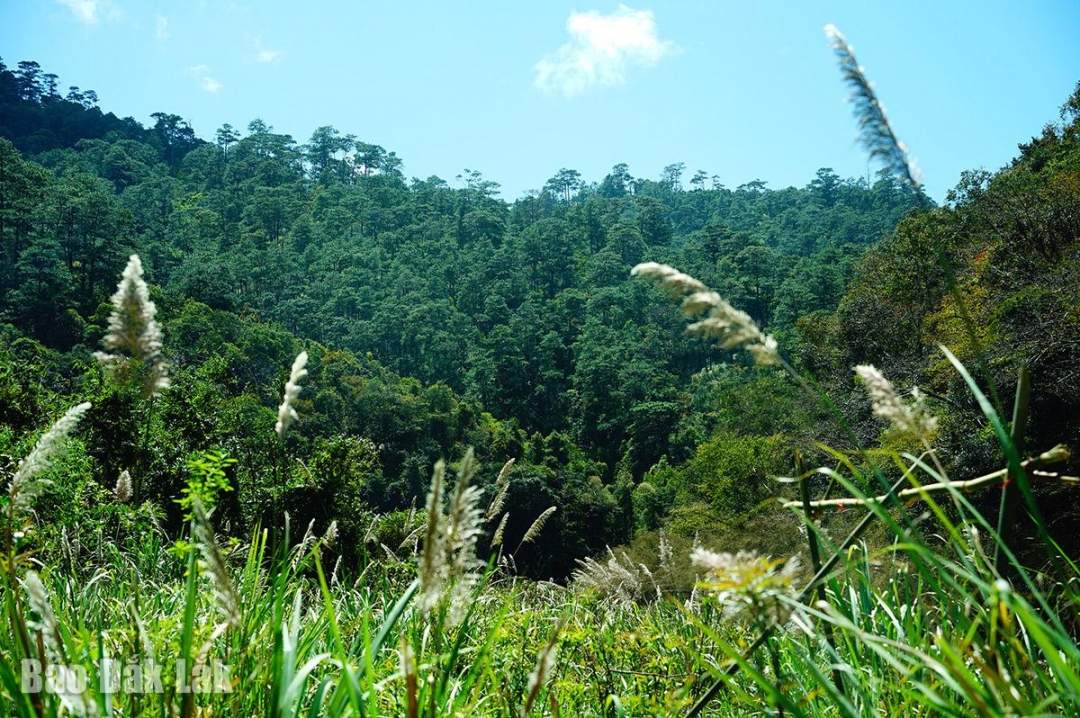 Đắk Lắk: Thức cùng thượng nguồn Đắk Lắk: Thức cùng thượng nguồn