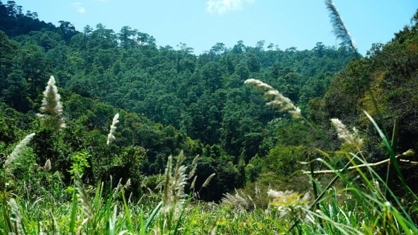 Đắk Lắk: Thức cùng thượng nguồn