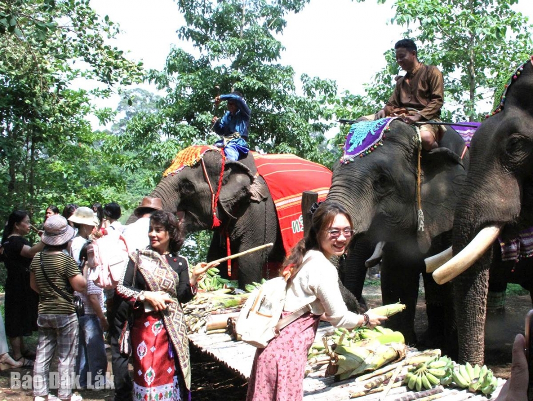 Đắk Lắk: Làm giàu thêm nguồn tài nguyên du lịch Đắk Lắk: Làm giàu thêm nguồn tài nguyên du lịch