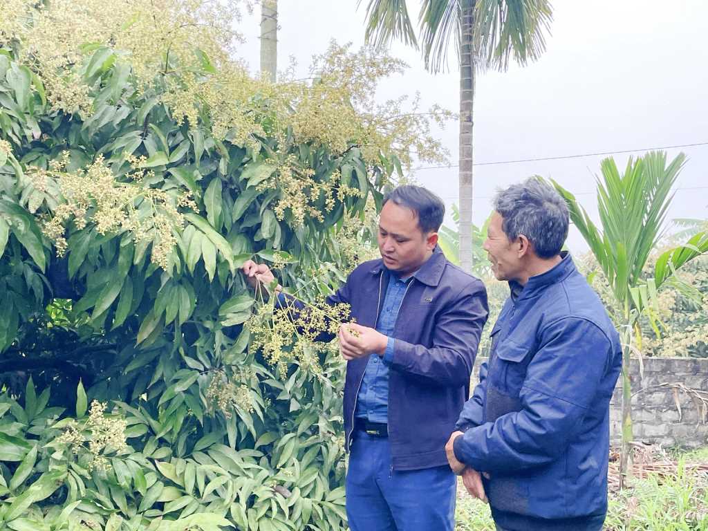 Quảng Ninh: Bảo tồn các loại gen quý phục vụ phát triển nông nghiệp Quảng Ninh: Bảo tồn các loại gen quý phục vụ phát triển nông nghiệp