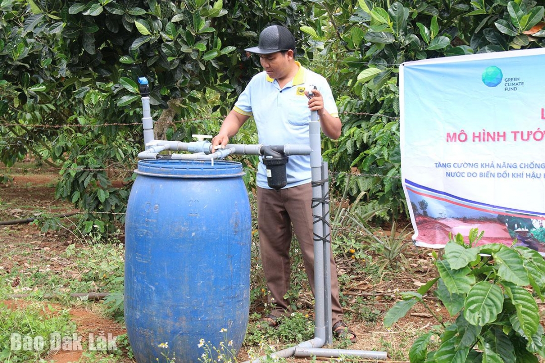 Đắk Lắk: Tưới tiết kiệm - giải pháp thúc đẩy canh tác bền vững Đắk Lắk: Tưới tiết kiệm - giải pháp thúc đẩy canh tác bền vững