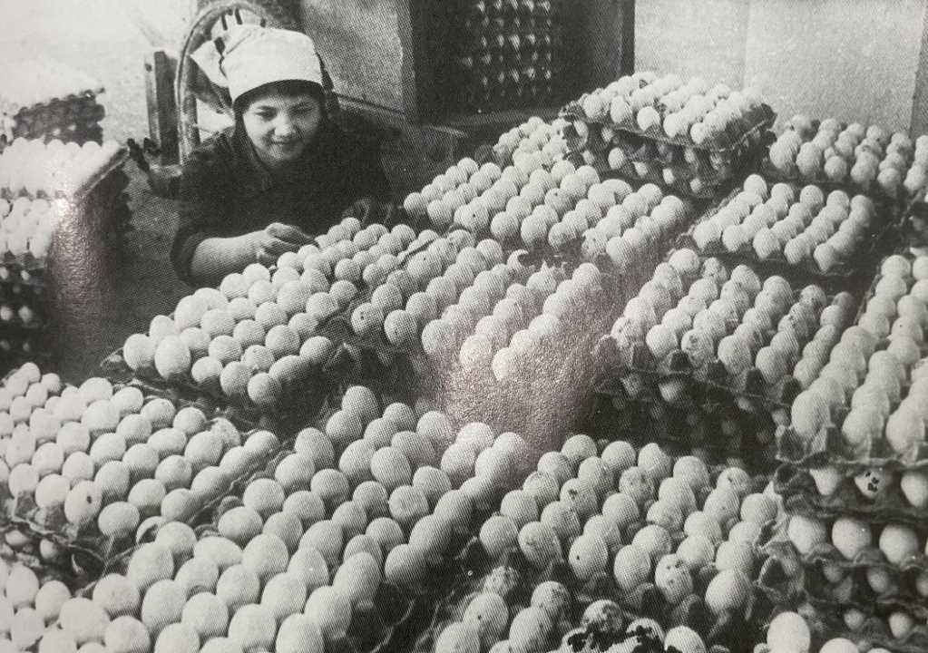 Quảng Ninh: Nông nghiệp phát huy vai trò "trụ đỡ" cho kinh tế nông thôn