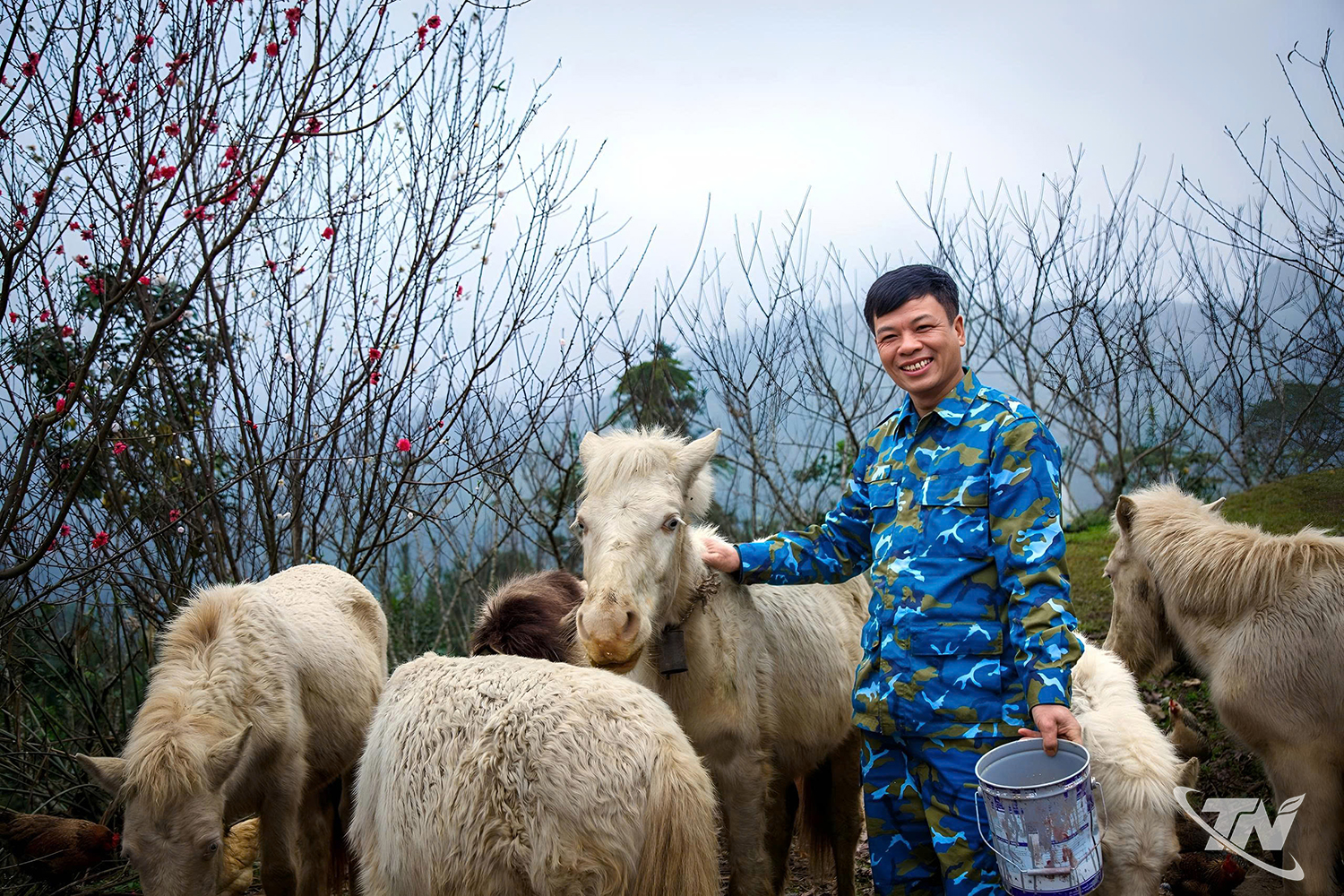 Thái Nguyên: Nghề "cọc" ngựa ở vùng cao Thái Nguyên: Nghề "cọc" ngựa ở vùng cao