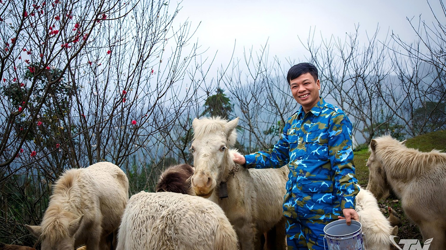 Thái Nguyên: Nghề "cọc" ngựa ở vùng cao