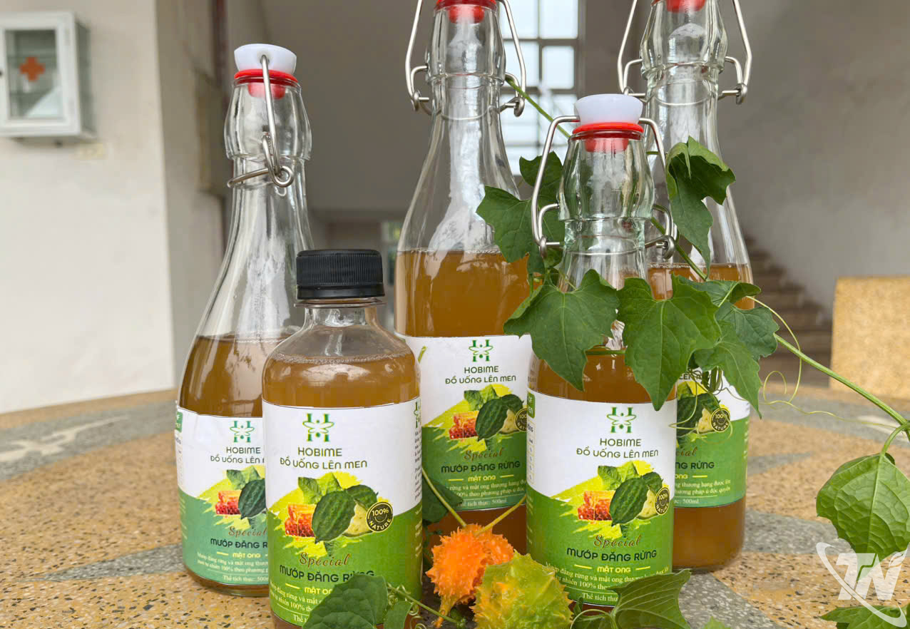 Thái Nguyên: Sinh viên khởi nghiệp từ sản vật quê hương