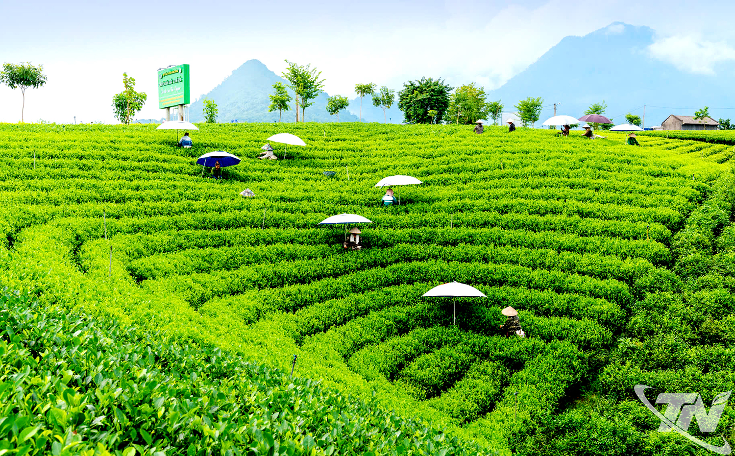 Thái Nguyên: Bứt phá mạnh mẽ trên "bản đồ" tăng trưởng