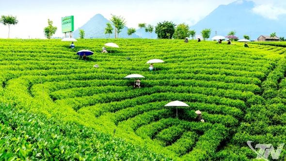 Thái Nguyên: Bứt phá mạnh mẽ trên "bản đồ" tăng trưởng