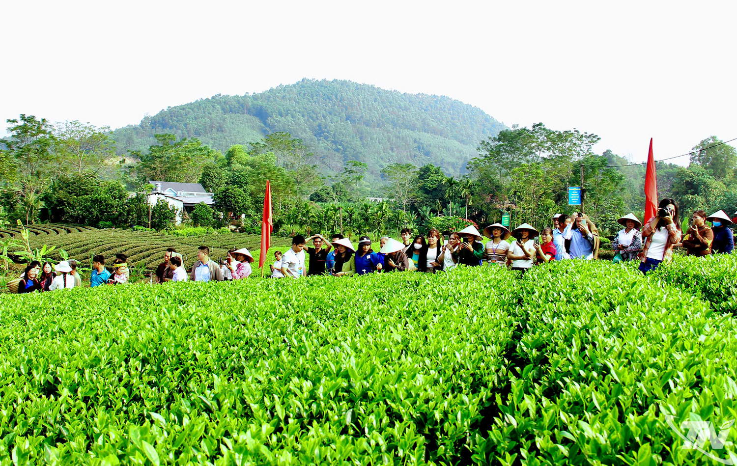 Thái Nguyên: "Đánh thức" tiềm năng, giá trị làng nghề