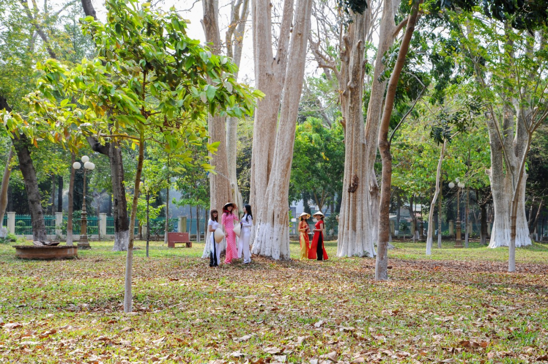 Đắk Lắk: Chuẩn hóa xanh với tầm nhìn đô thị