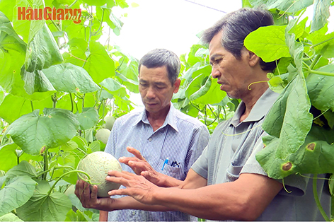 Hậu Giang: Ghi nhật ký sản xuất điện tử khó mà dễ