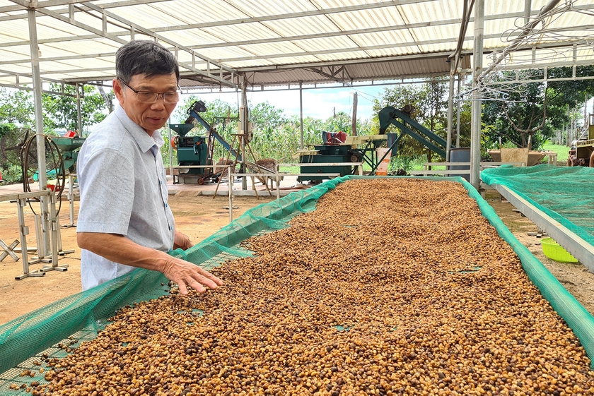 Gia Lai: Nông dân Chư Sê sản xuất gắn với nhu cầu thị trường Nông dân Chư Sê sản xuất gắn với nhu cầu thị trường ảnh 1