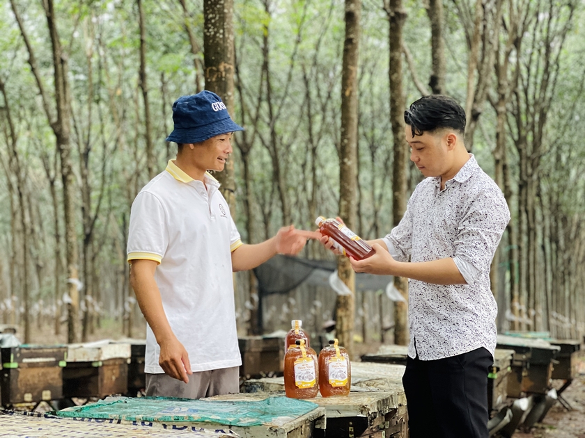 Gia Lai: Nuôi ong lấy mật kết hợp đón khách du lịch Nuôi ong lấy mật kết hợp đón khách du lịch ảnh 1