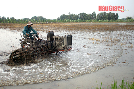 Hậu Giang: “Tam nông” - Dấu ấn một chặng đường phát triển