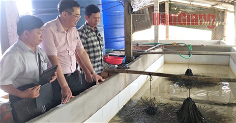 Hậu Giang: Nhiều điểm sáng trong nhiệm kỳ Hậu Giang: Nhiều điểm sáng trong nhiệm kỳ