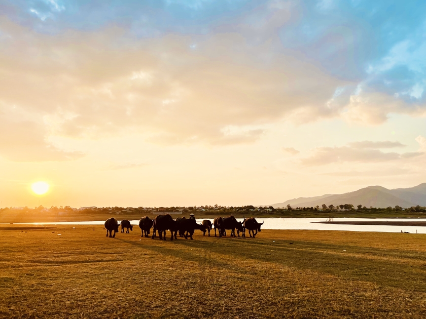 Thả diều ngắm cảnh thiên nhiên tươi đẹp trên bãi bồi Tiên Sơn ảnh 7