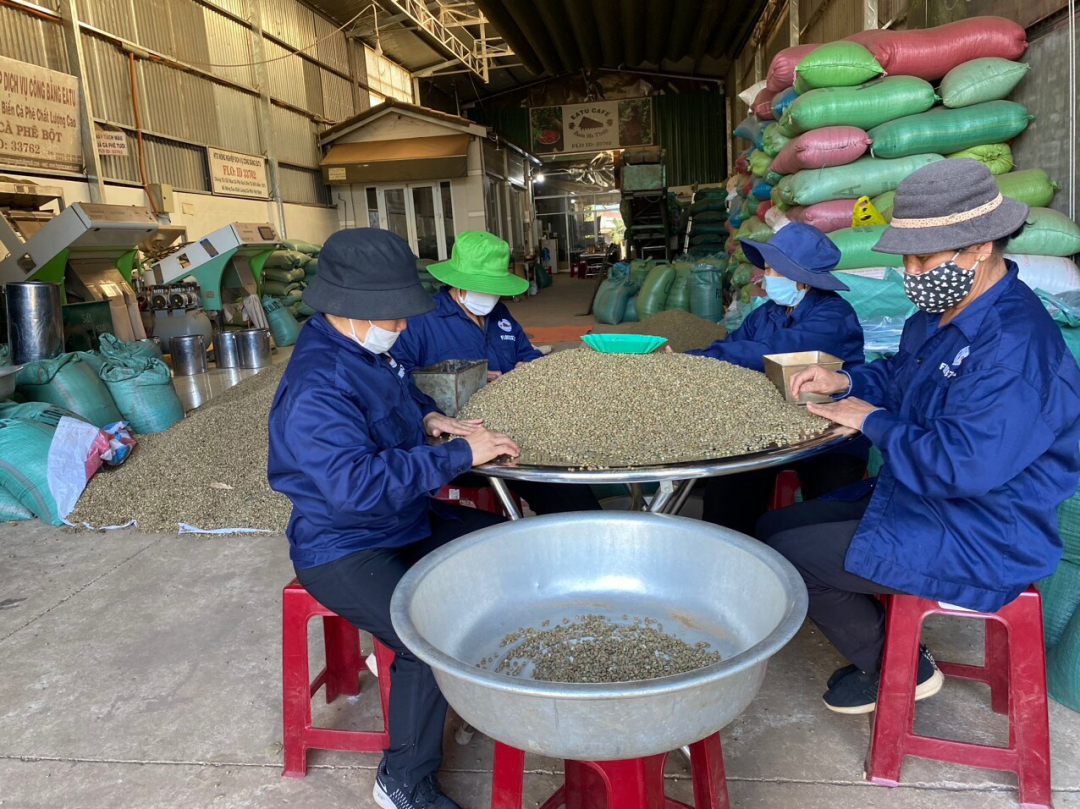 Đắk Lắk: Khẳng định vị thế cà phê Việt