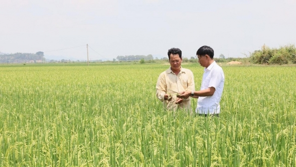 Đắk Lắk: Nơi khởi nguyên  của những “thương hiệu” nông sản