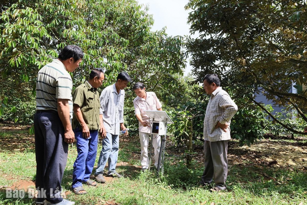 Đắk Lắk: Nơi khởi nguyên của những “thương hiệu” nông sản Đắk Lắk: Nơi khởi nguyên của những “thương hiệu” nông sản