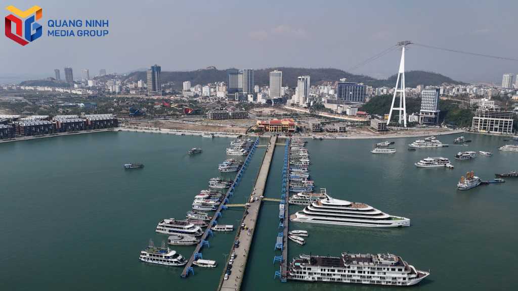 Quảng Ninh: Điểm đến lý tưởng của các chuyến tàu biển Quảng Ninh: Điểm đến lý tưởng của các chuyến tàu biển