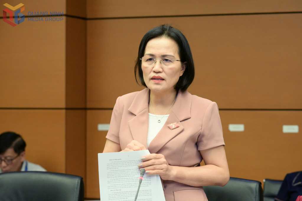 Quảng Ninh tham gia góp ý vào 3 dự án luật