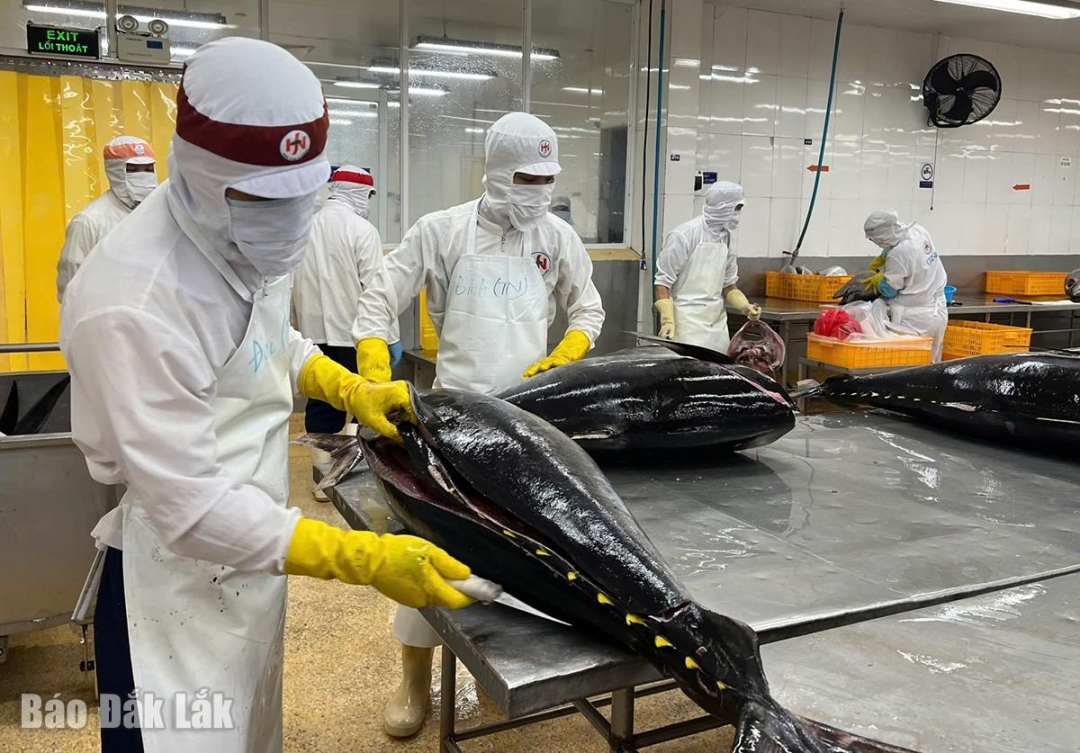 Đắk Lắk: Kiến tạo nền kinh tế nông nghiệp với tầm vóc mới Đắk Lắk: Kiến tạo nền kinh tế nông nghiệp với tầm vóc mới