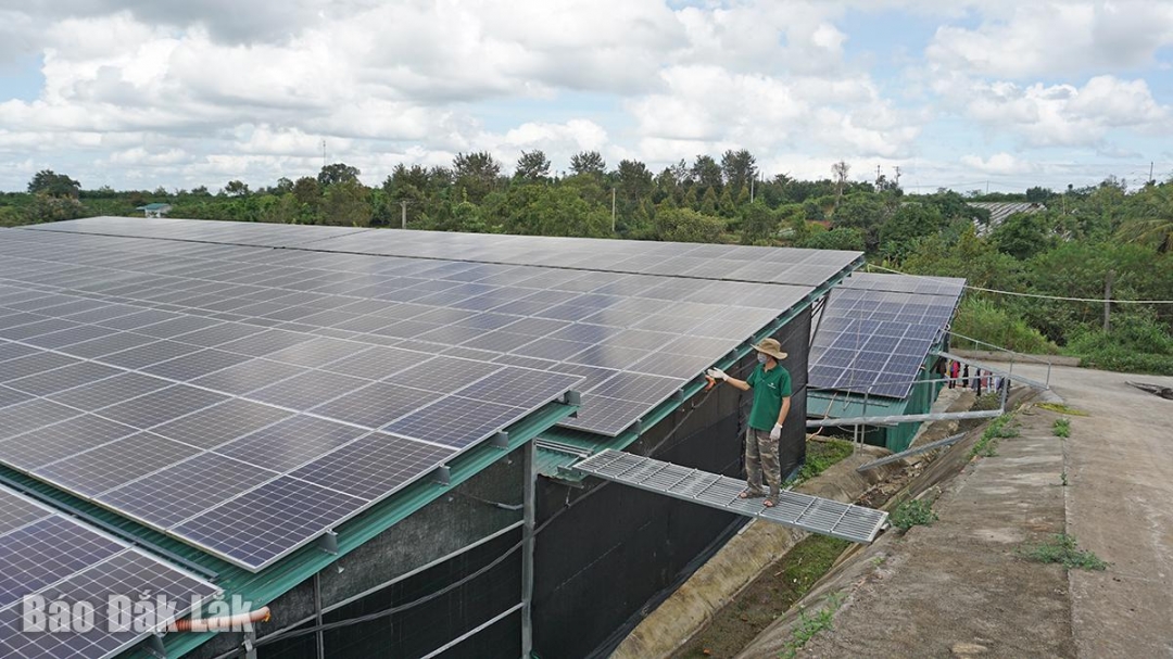 Đắk Lắk: Doanh nghiệp trong xu thế phát triển xanh