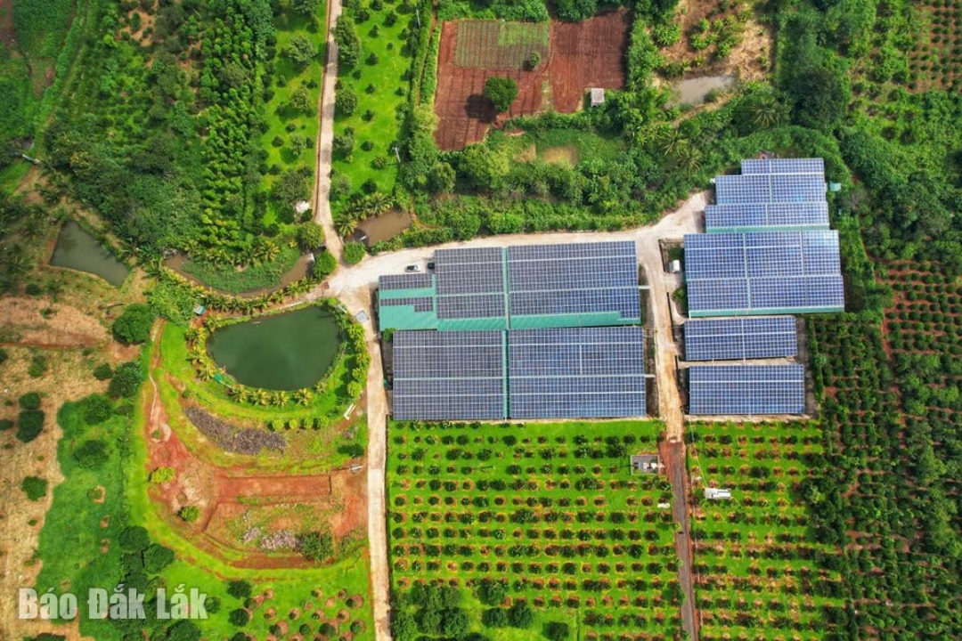 Đắk Lắk: Doanh nghiệp trong xu thế phát triển xanh