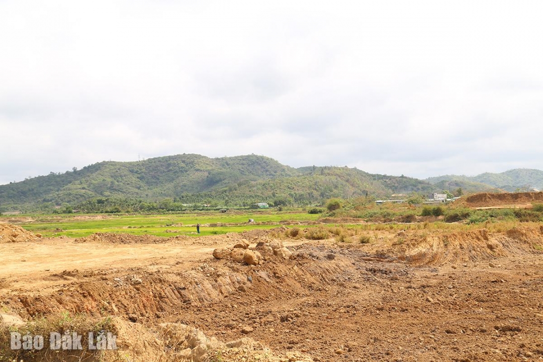 Mạnh tay với xử lý vi phạm Mạnh tay với xử lý vi phạm